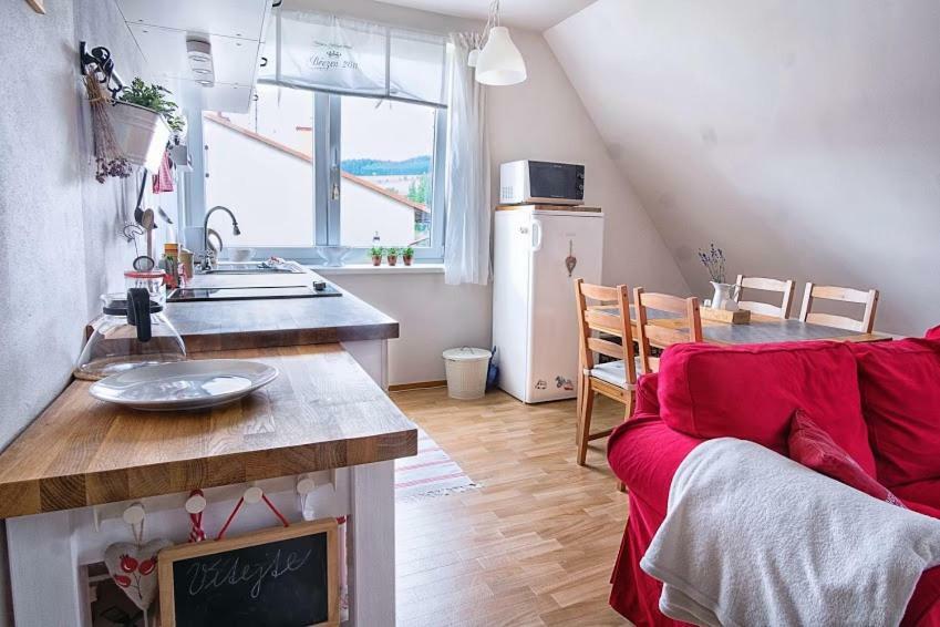 Apartmán Deštná čp.1 Destne v Orlickych horach Esterno foto